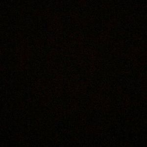 Meet your Posher, Arlia